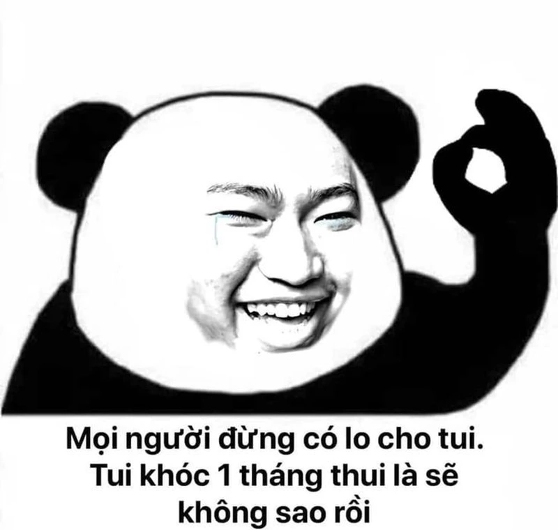 Meme con gấu trúc đáng yêu là món quà vui vẻ cho ngày mới.