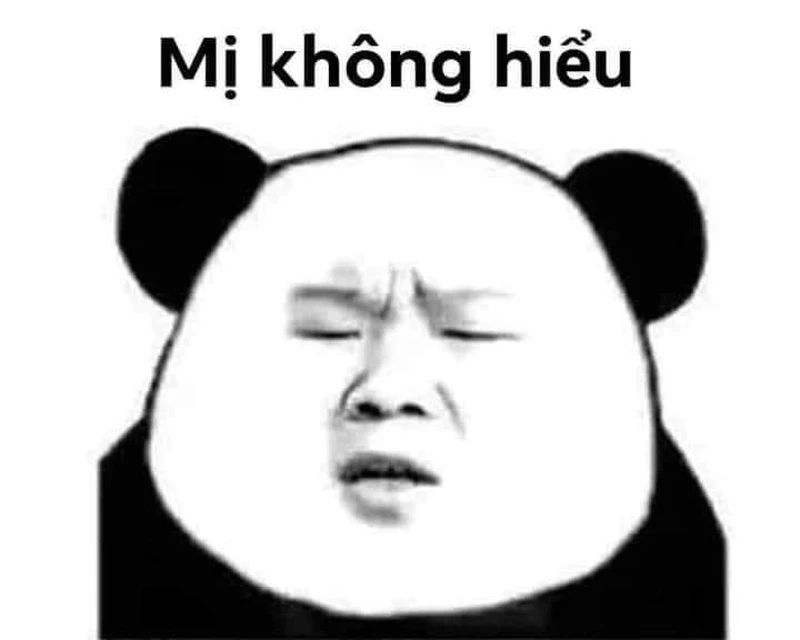 Meme gấu trúc cảm ơn dễ thương khiến bạn thêm yêu đời.