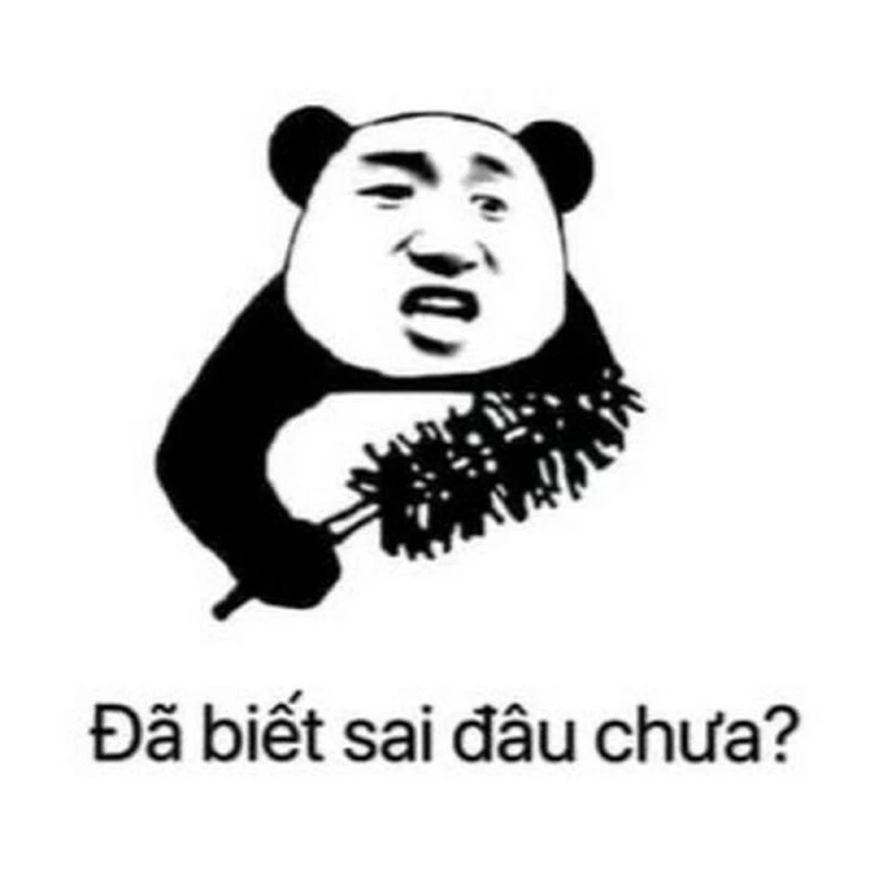 Meme trung quốc gấu trúc mang đến những khoảnh khắc thú vị.