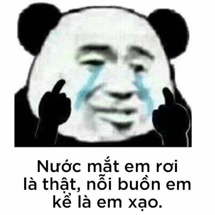 Meme gấu trúc buồn khiến bạn cảm nhận được sự dễ thương dù buồn.