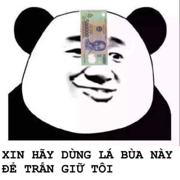 Ảnh meme gấu tạo ra những khoảnh khắc vui nhộn bất ngờ!