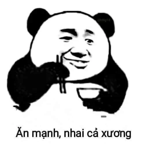 Mặt gấu meme gây cười với biểu cảm dễ thương đặc biệt.