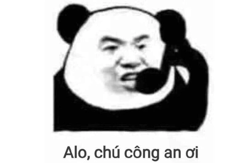 Meme gấu trúc hài giúp bạn thư giãn với những tình huống ngớ ngẩn.