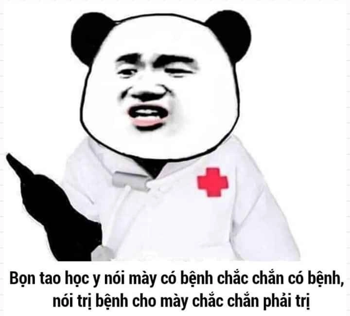 Hài hước meme gấu trúc làm bạn không thể ngừng cười mỗi khi nhìn thấy.