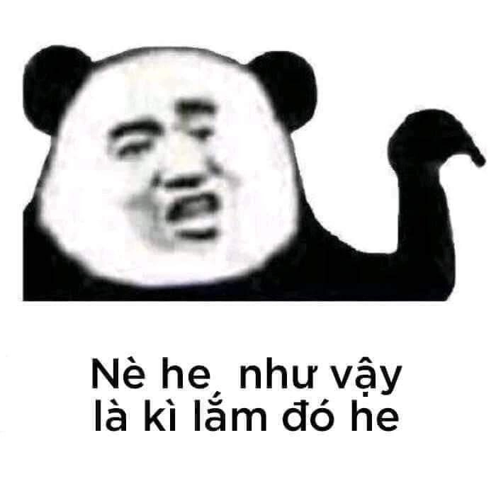 Meme gấu trúc thú vị khiến bạn không thể bỏ qua!