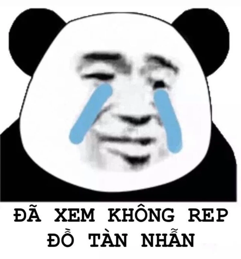 Meme gấu trung quốc cực kỳ vui nhộn với nhiều sắc thái khác nhau!