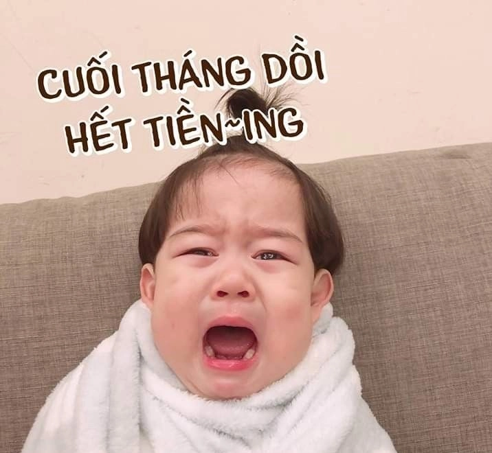 Đáng yêu và hài hước với meme mèo cầm tiền cho mọi tình huống.