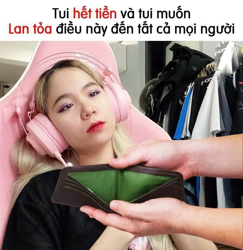 Dễ thương và hài hước với mèo meme xin tiền trong cuộc trò chuyện.