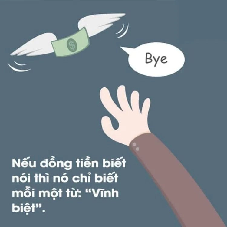 Biểu cảm hài hước từ meme bao nhiêu tiền khiến ai cũng cười.