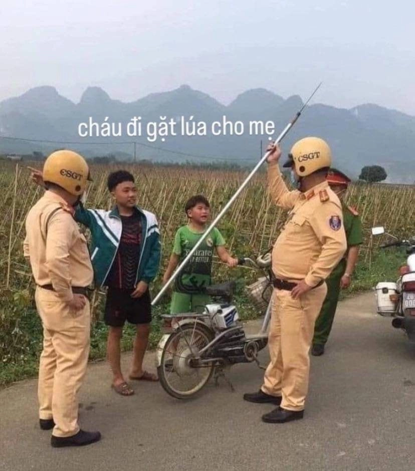 Ảnh meme mèo bựa nhếch mép cực kỳ hài hước, khiến bạn không thể nhịn cười.