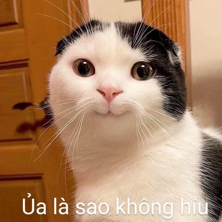 Avatar meme hài bựa cực kỳ hài hước và đầy ấn tượng.