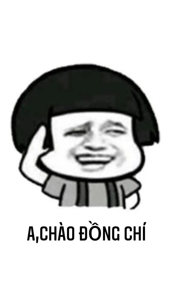 Hình ảnh meme mèo chào siêu đáng yêu và ngộ nghĩnh.