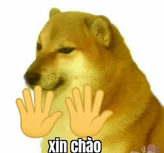 Thêm sự ngọt ngào với meme xin chào cute độc lạ.