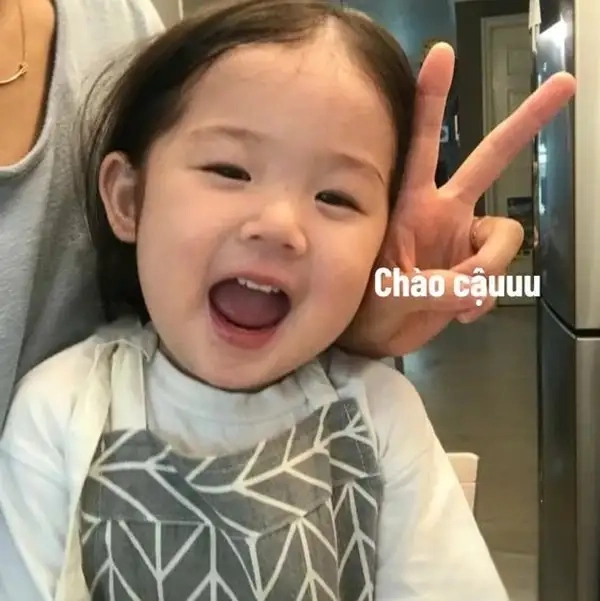 Bắt đầu ngày mới với chào ngày mới meme, niềm vui tràn ngập!