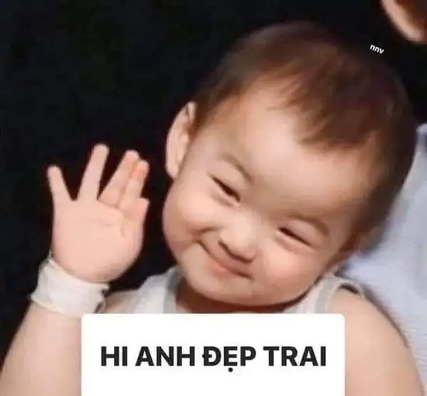 Mèo chào meme dễ thương, khởi đầu ngày mới đầy năng lượng!