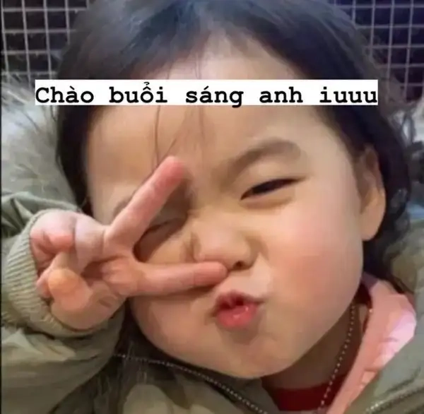 Meme mèo chào tạm biệt dễ thương, để ngày mới thêm thú vị!