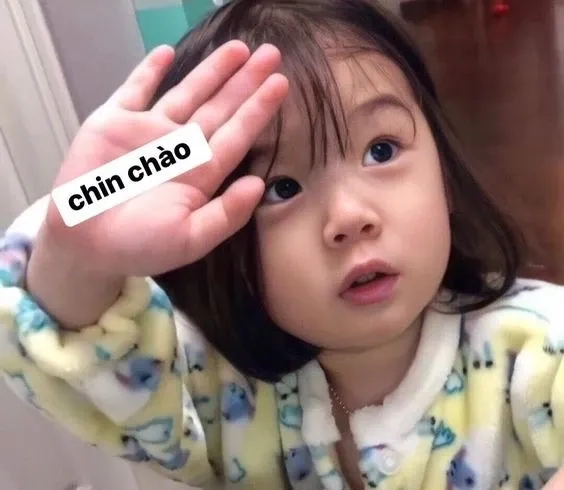 Mèo chào meme mang lại sự đáng yêu khó cưỡng.