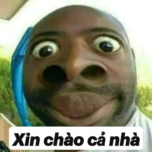 Khám phá hình meme xin chào thú vị, tạo không khí tươi vui!