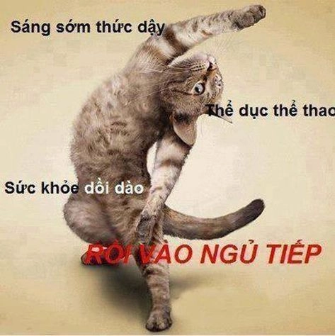 Em chào đại ca meme mang lại sự dễ thương và thú vị!