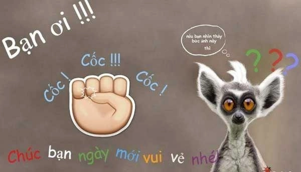 Chào em nha meme, một lời chào dễ thương không thể bỏ qua!