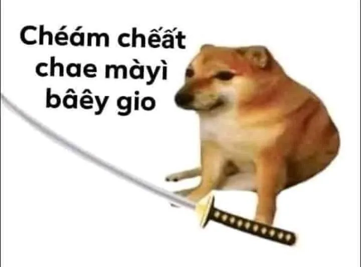 Cheems meme buồn khiến người xem vừa thương vừa buồn cười.