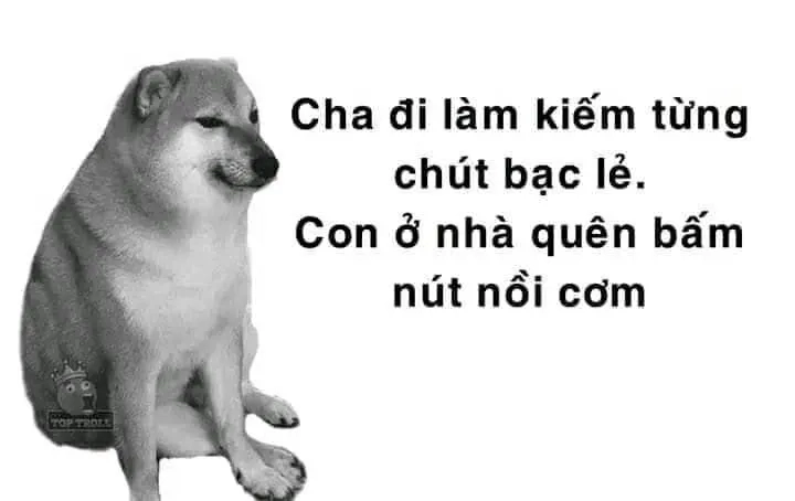 Meme hài Cheems với những tình huống gây cười không ngừng.