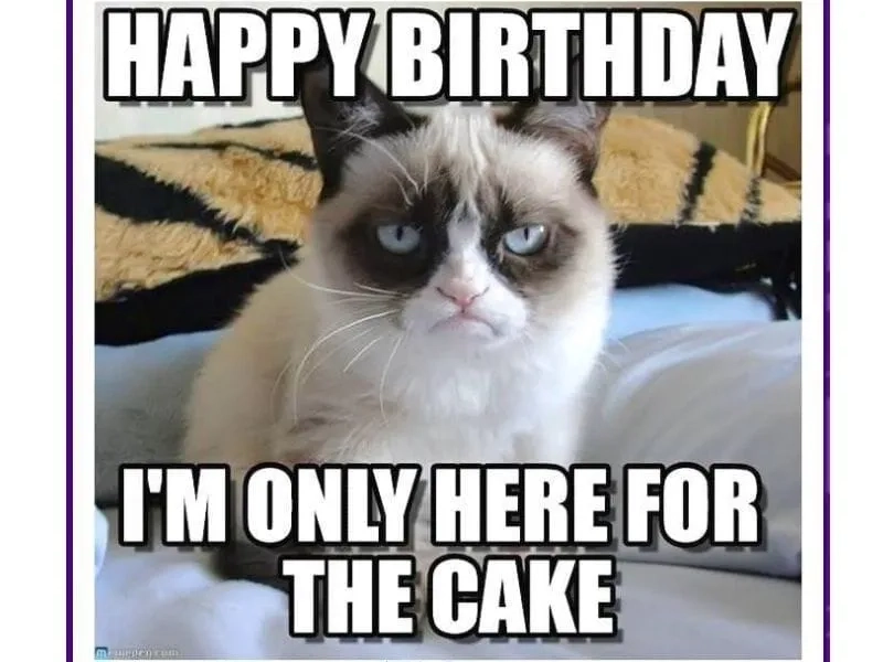 Chúc mừng sinh nhật siêu dễ thương với meme cat happy birthday meme!