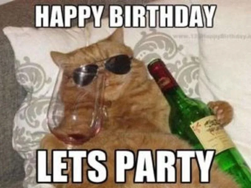 Chúc mừng sinh nhật cùng happy birthday cat meme siêu ngộ nghĩnh!