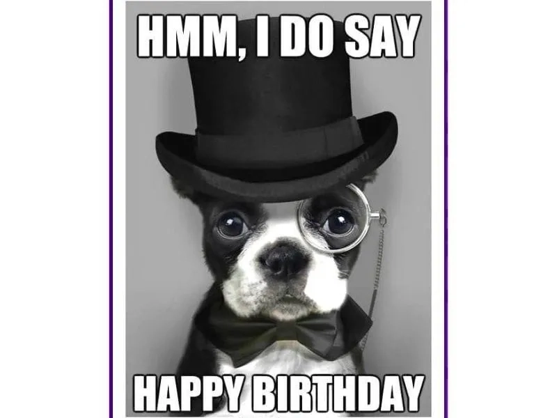 Chúc mừng sinh nhật sống động hơn với gif happy birthday meme vui nhộn!