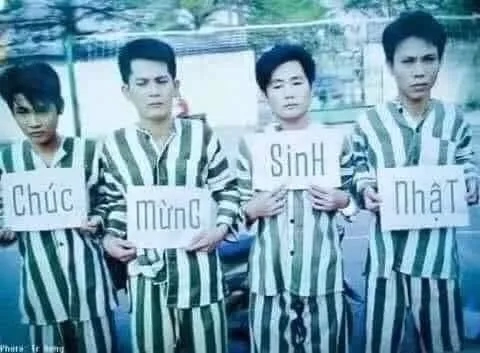 Meme mèo sinh nhật dễ thương, giúp bữa tiệc thêm phần vui nhộn!