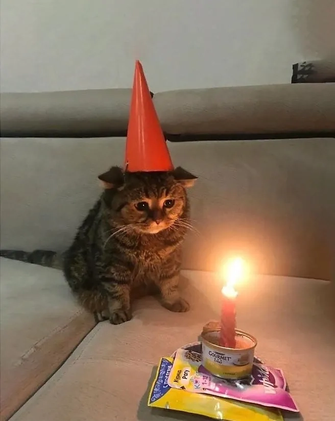 Chúc mừng sinh nhật bạn gái với meme happy birthday meme for her dễ thương!