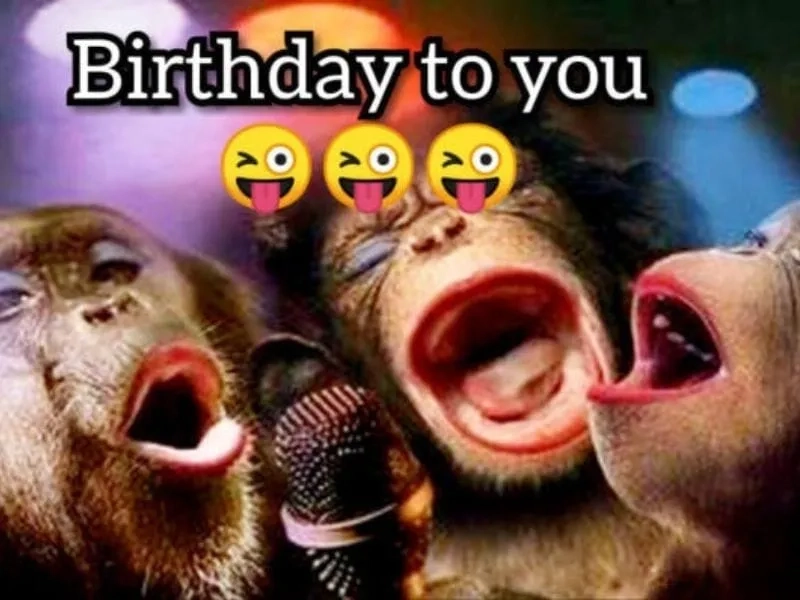 Chúc mừng sinh nhật siêu dễ thương với meme happy birthday meme cute!