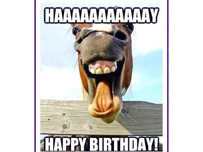 Meme funny happy birthday meme sẽ khiến bữa tiệc sinh nhật thêm phần thú vị!