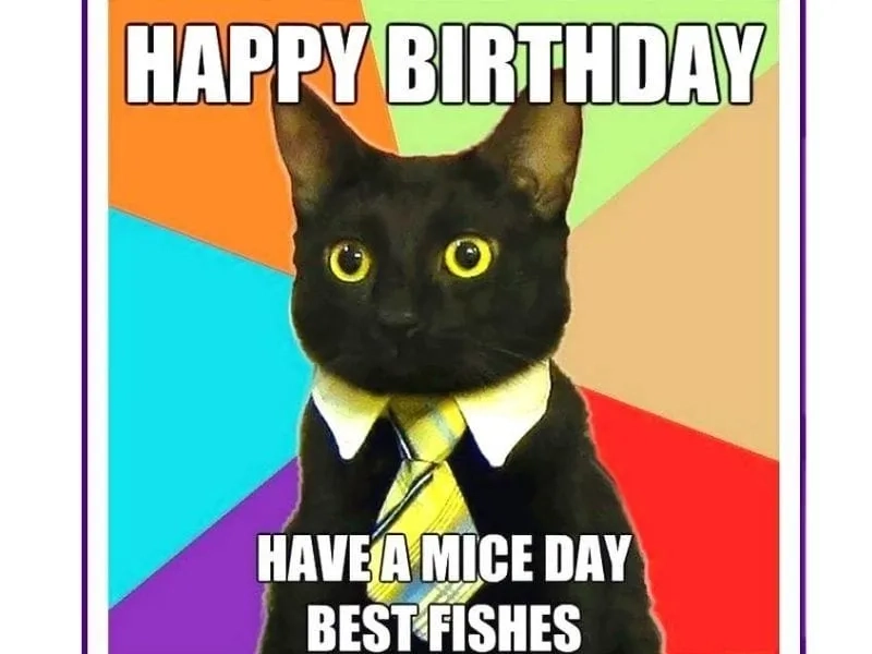 Sinh nhật vui nhộn hơn với meme happy birthday funny meme cực kỳ hài hước!