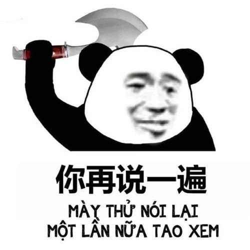 Meme gấu trúc chửi cực kỳ đáng yêu và hài hước, chắc chắn khiến bạn thích thú!