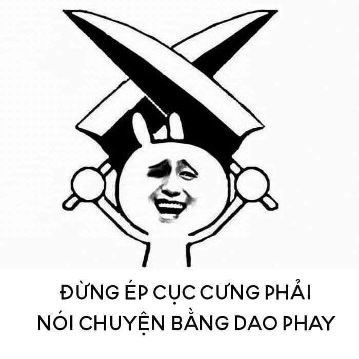 Meme chửi con mèo vừa đáng yêu vừa hài hước, mang lại những giây phút thư giãn tuyệt vời!