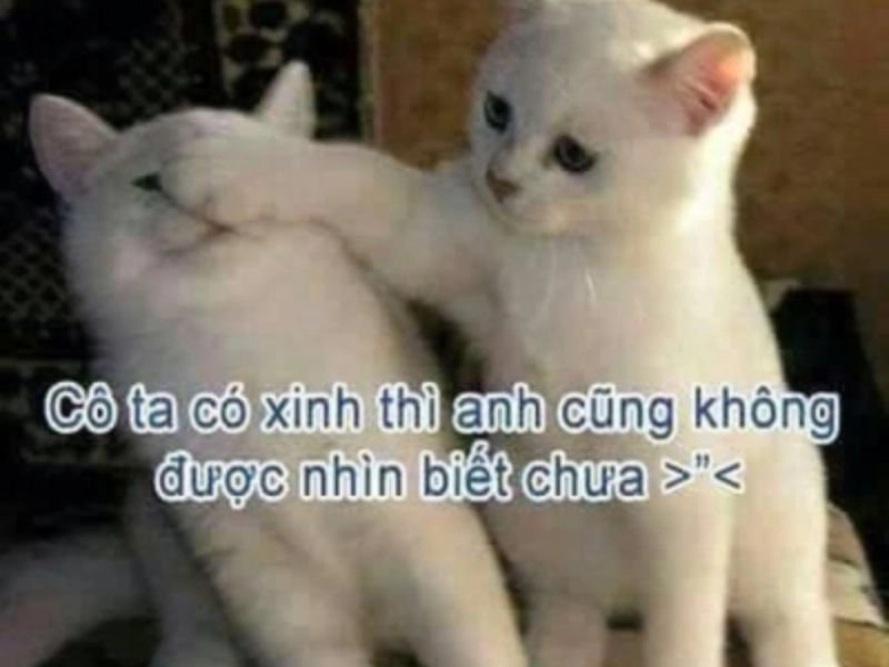 Meme ảnh bé gái đáng yêu hàn quốc chắc chắn sẽ khiến bạn tan chảy!