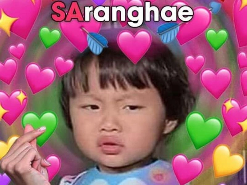 Ai có thể không thích meme ảnh mèo cute này, đáng yêu vô cùng!