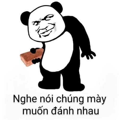 Meme đánh nhau cute khiến bạn không thể nhịn cười với những pha đấu võ dễ thương.