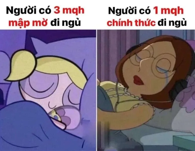 Meme mèo ngủ sẽ làm bạn cảm nhận được sự thư thái ngay lập tức.