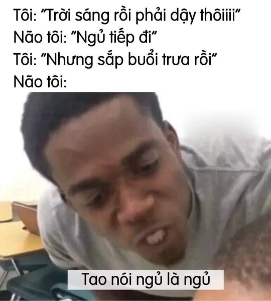 Mèo ngủ meme cực kỳ dễ thương, bạn không thể bỏ qua đâu!