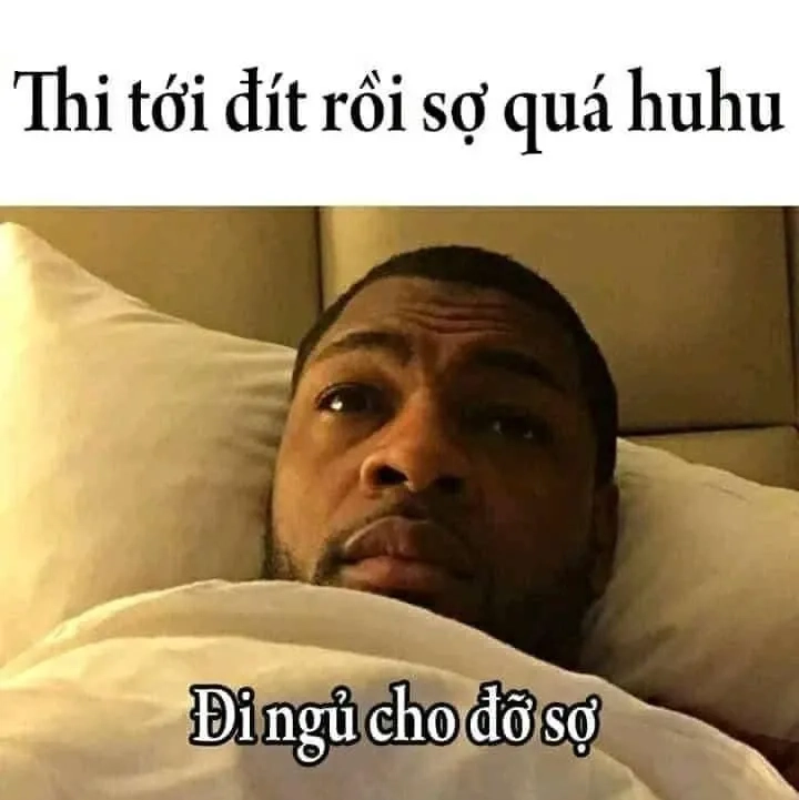 Meme ngủ dậy này sẽ giúp bạn bắt đầu ngày mới đầy năng lượng.