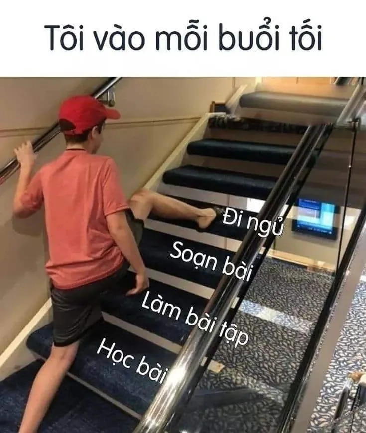 Cười thả ga với meme chúc ngủ ngon hài hước, thật vui nhộn!