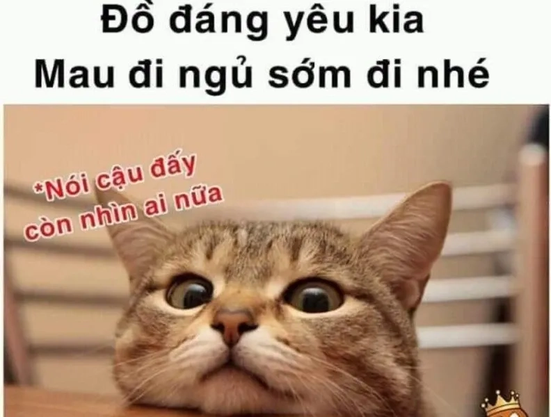 Meme ngủ cute dễ thương khiến bạn cảm thấy thư giãn và vui vẻ.