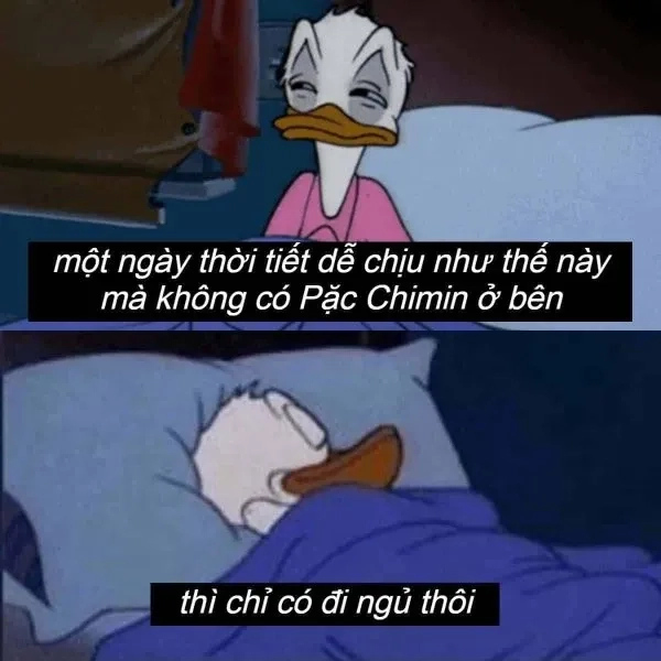 Ảnh ngủ meme cực kỳ đáng yêu, giúp bạn có giấc ngủ ngon hơn.