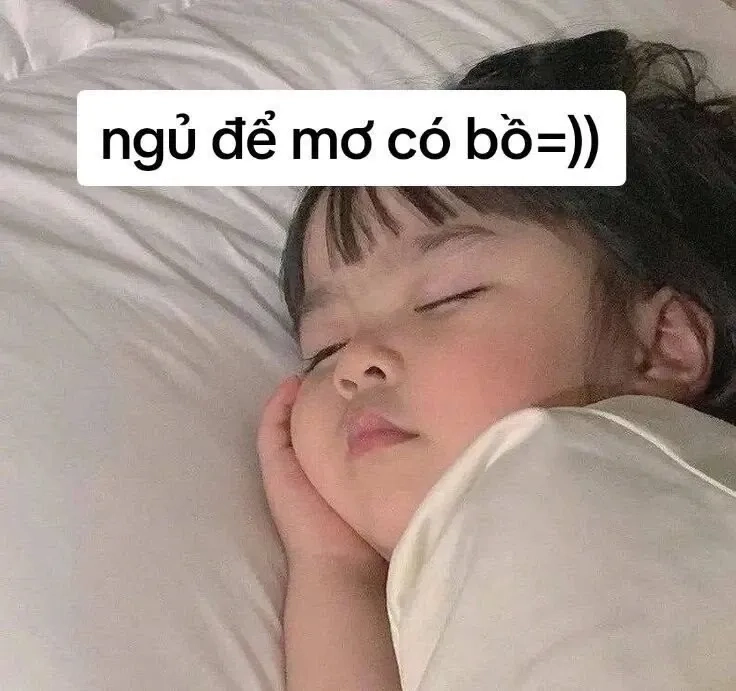 Cùng xem meme mèo đi ngủ, đáng yêu và thư giãn tuyệt vời.