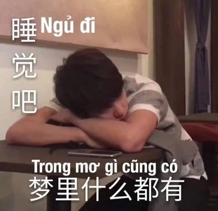 Meme đi ngủ đi này sẽ giúp bạn thư giãn và chuẩn bị cho giấc ngủ ngon.