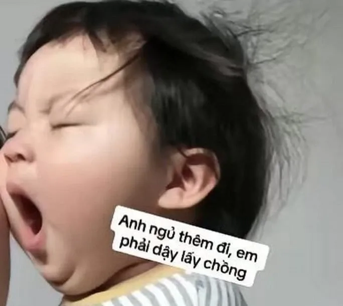 Dễ dàng đi vào giấc ngủ với meme tắt máy đi ngủ cực kỳ đáng yêu.