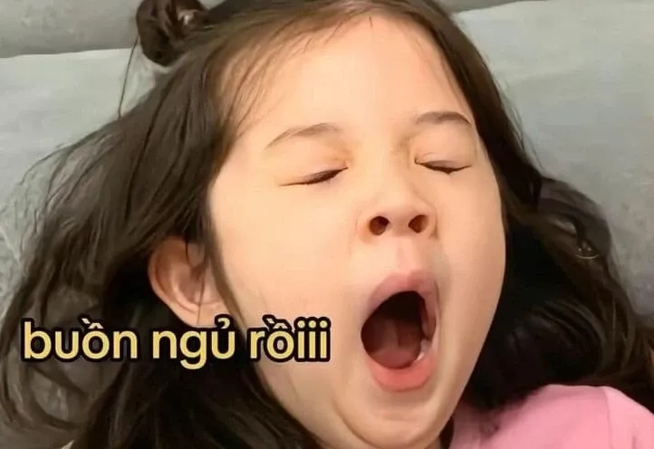 Ảnh đi ngủ meme dễ thương sẽ giúp bạn thư giãn và nghỉ ngơi.