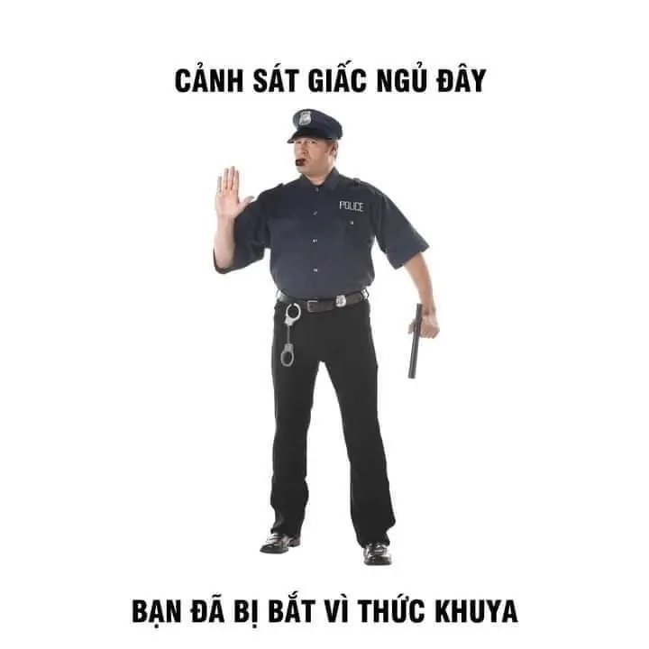 Meme chúc ngủ ngon mèo này cực kỳ dễ thương, bạn sẽ thích ngay.